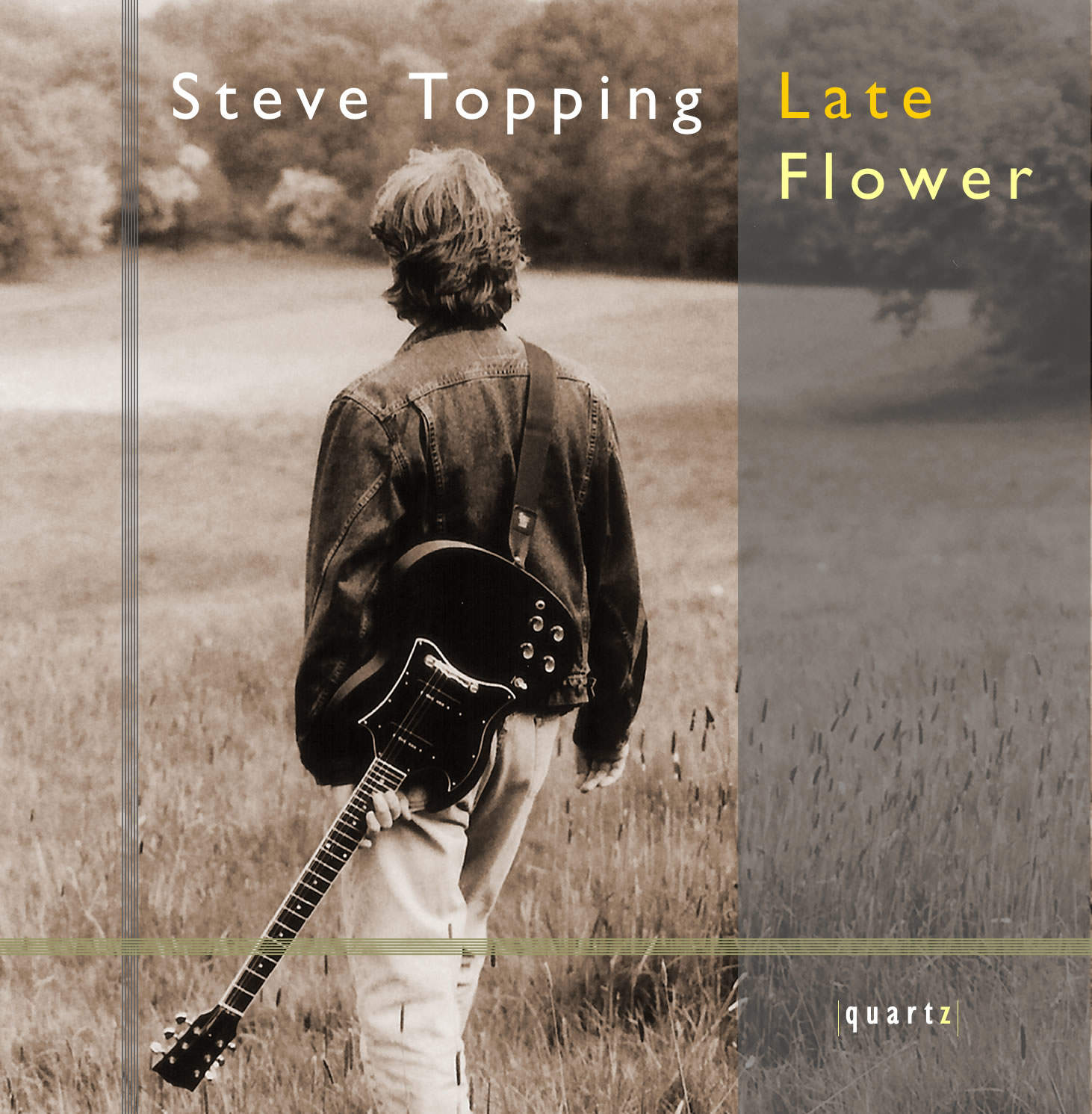 Steve Topping (guitar)